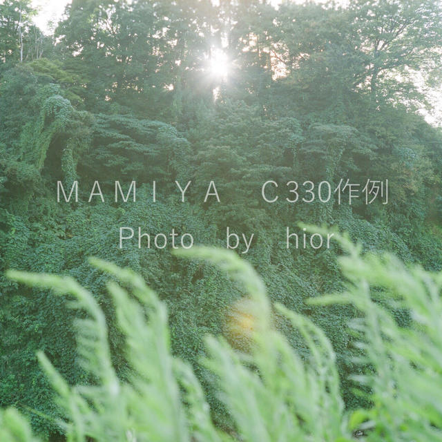 MAMIYA C330 Professional 二眼レフカメラ 3