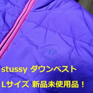 ステューシー(STUSSY)の【toshi様専用】stussyダウンベスト 新品未使用 未着用  Lサイズ(ダウンベスト)