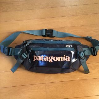 パタゴニア(patagonia)のpatagonia Black Hole Waist Pack 2L (その他)