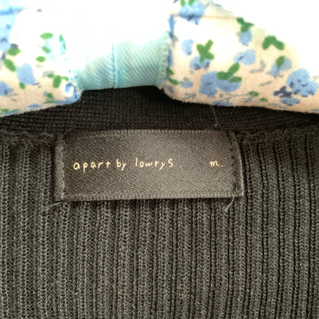 apart by lowrys(アパートバイローリーズ)のVネックリブニット レディースのトップス(カットソー(長袖/七分))の商品写真