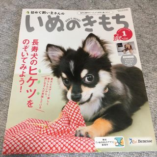 いぬのきもち(犬)