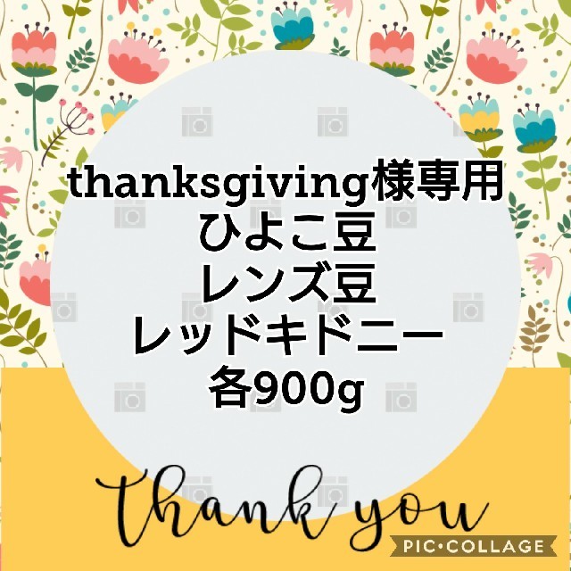 thanksgiving様専     ひよこ豆、レンズ豆、レッドキドニー 食品/飲料/酒の食品(米/穀物)の商品写真