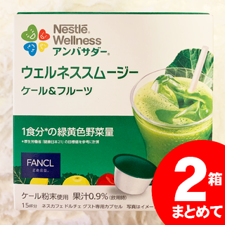 ネスレ(Nestle)のネスレ ウェルネススムージー ケール＆フルーツ(15杯×2箱30杯分)(その他)