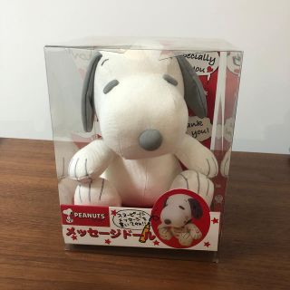 スヌーピー(SNOOPY)のスヌーピー♡メッセージドール　寄せ書き(カード/レター/ラッピング)