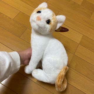 猫のぬいぐるみ オッドアイ(ぬいぐるみ)