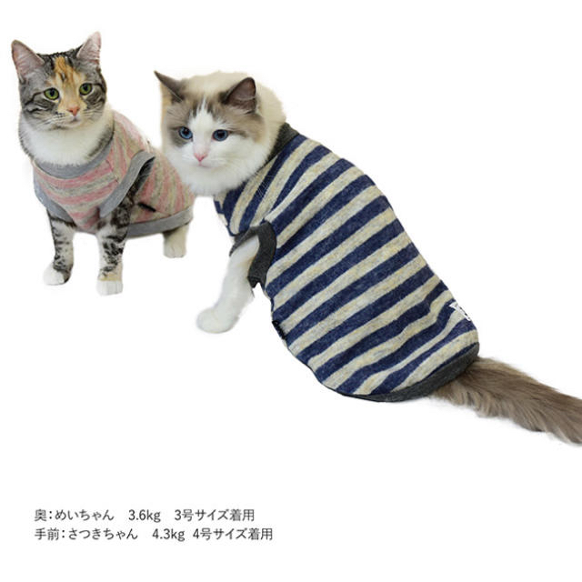 ＊新品未使用＊LIFE LIKE ボーダー　犬　猫　犬服　猫服　抜け毛予防にも その他のペット用品(犬)の商品写真