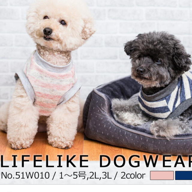 ＊新品未使用＊LIFE LIKE ボーダー　犬　猫　犬服　猫服　抜け毛予防にも その他のペット用品(犬)の商品写真