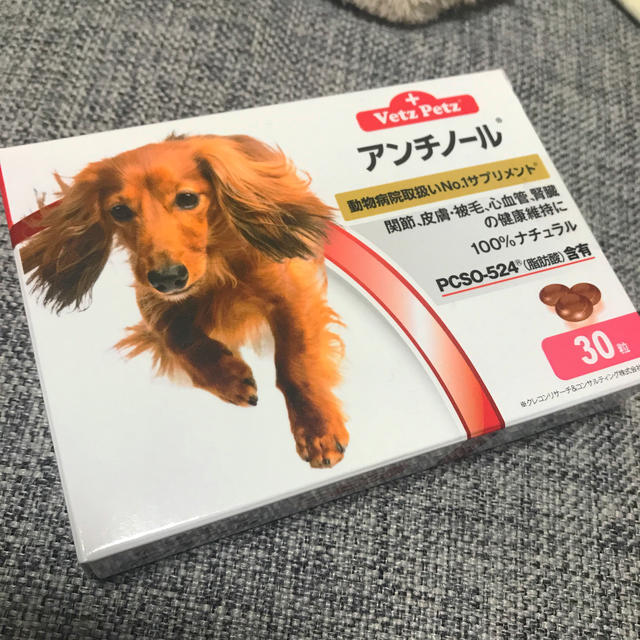 アンチノール 19粒 犬用の通販 by syuumoco's shop｜ラクマ