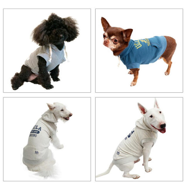 ＊人気商品＊UCLA 犬服　アメカジ　ロゴ　カレッジ　裏毛プルオーバーパーカー その他のペット用品(犬)の商品写真