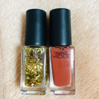 ネイルホリック(NAIL HOLIC)のNAIL HOLIC ネイルホリック　2色セット(GD027/BR311)(マニキュア)