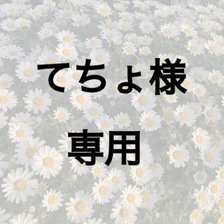 てちょ様専用　くまさんネイル(つけ爪/ネイルチップ)