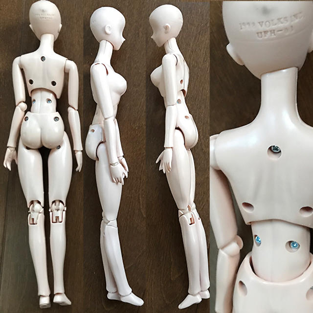 VOLKS - 【ボークス】1/6 素体 普通肌 可動ボディ VORKS 27cm VOLKS - 【ボークス】1/6 素体 普通肌 可動ボディ VORKS 27cm
