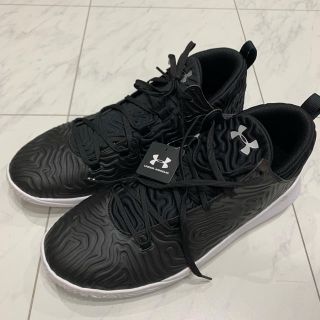 アンダーアーマー(UNDER ARMOUR)の【たか様専用】アンダーアーマー ニホン シューズ 29cm(スニーカー)