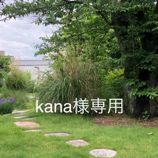 kana様専用オーダー花材セット(ドライフラワー)