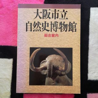 大阪市立自然史博物館　総合案内(人文/社会)