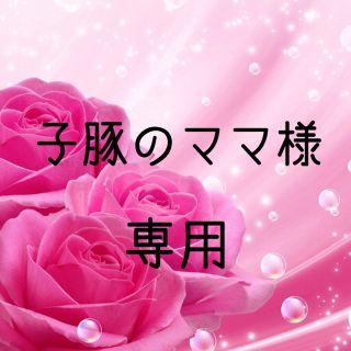 子豚のママ様専用  令和元年　愛媛県産あきたこまち　 玄米 30kg・雑穀米(米/穀物)