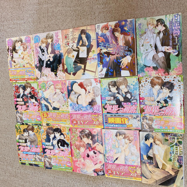 BL小説 まとめ売り 20冊の通販 by ann's shop|ラクマ