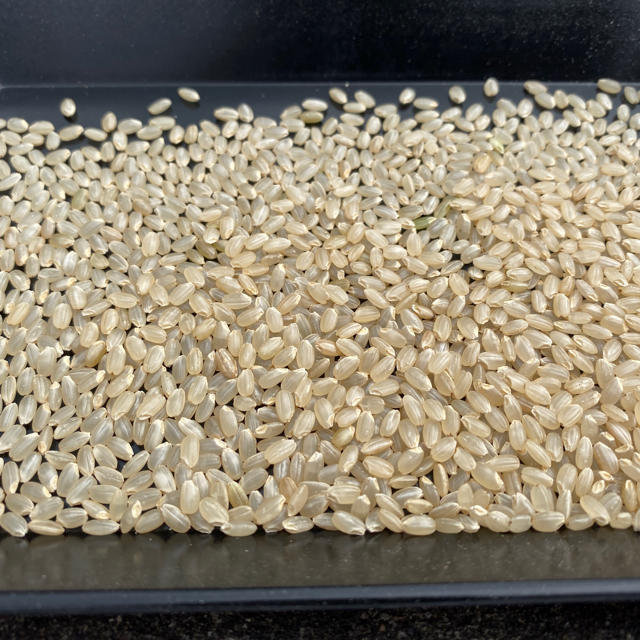 あきたこまち 玄米 30kg ※米不足でも値段同じです! 食品 あきたこまち 玄米 30kg ※米不足でも値段同じです! 食品