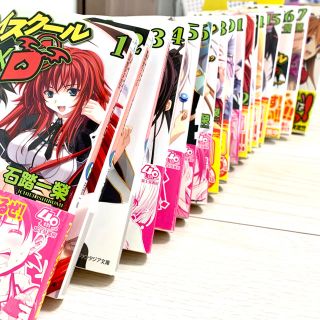 カドカワショテン(角川書店)のハイスク－ルＤ×Ｄ 1~18巻(文学/小説)