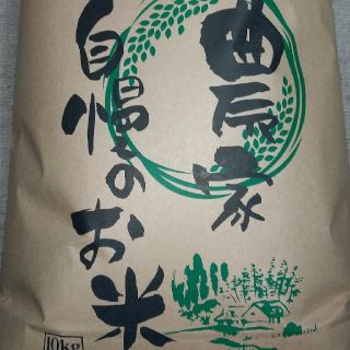 令和元年栃木県産マンゲツモチ玄米１０キロ(米/穀物)