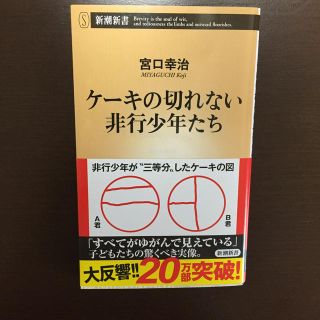 ケーキの切れない非行少年たち(文学/小説)