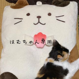 はむちゃん専用(ニット)