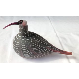 イッタラ(iittala)のオイバトイッカ Curlew 箱付き イッタラ バード 未使用(置物)