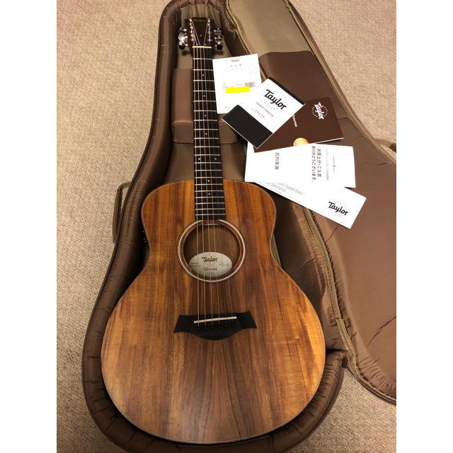 ☆Taylor GS Mini-e KOA