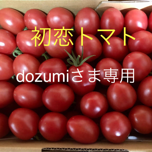 初恋トマト箱込2キロ【dozumi様専用】 食品/飲料/酒の食品(野菜)の商品写真