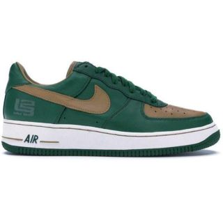 ナイキ(NIKE)のNIKE AIR FORCE 1（LTD）LEBRON JAMES 26cm(スニーカー)