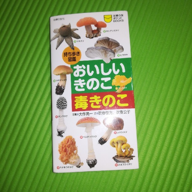 おいしいきのこ毒きのこ 持ち歩き図鑑 エンタメ/ホビーの本(科学/技術)の商品写真