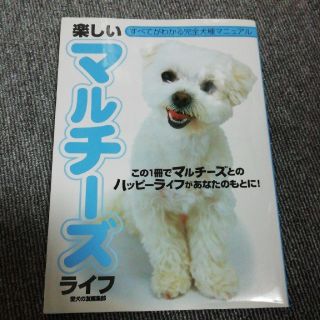 楽しいマルチ－ズライフ この１冊でマルチ－ズとのハッピ－ライフがあなたのもの(住まい/暮らし/子育て)