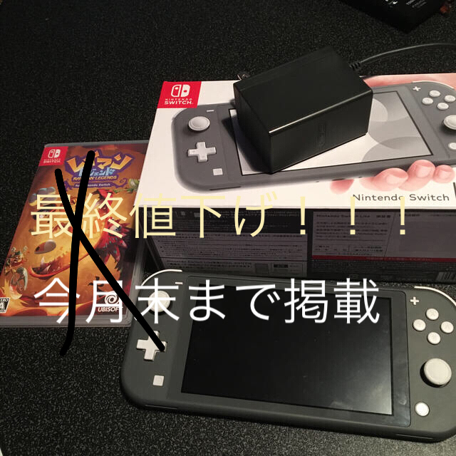 Nintendo Switch Liteグレー　ソフト無価格