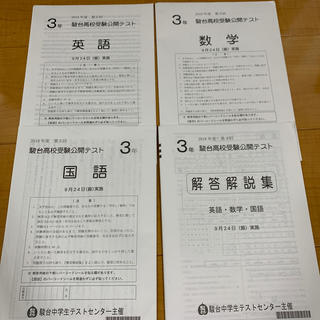 中3 駿台高校受験公開テスト　2018年度　第３回(語学/参考書)