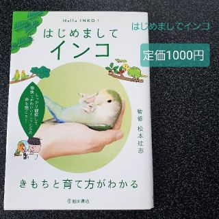 はじめましてインコ きもちと育て方がわか(住まい/暮らし/子育て)