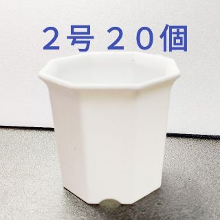 ◎20個◎ ホワイト 2号 2寸 6cm プラ鉢八角鉢(その他)