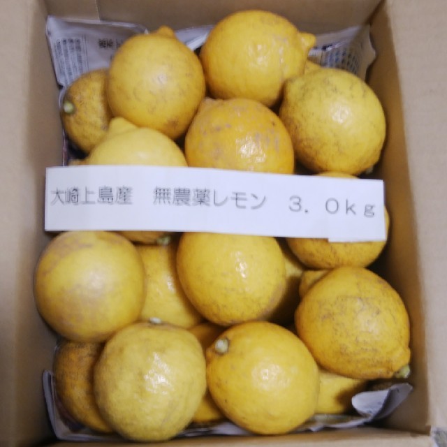 広島県大崎上島産無農薬レモン3.0kg 食品/飲料/酒の食品(フルーツ)の商品写真