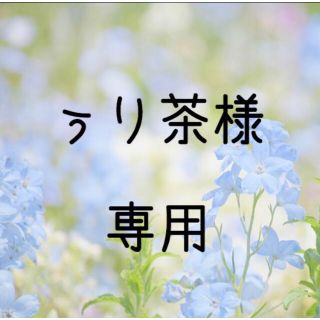 ぅり茶様専用　お米　令和元年　愛媛県産キヌヒカリ　白米　30㎏(米/穀物)