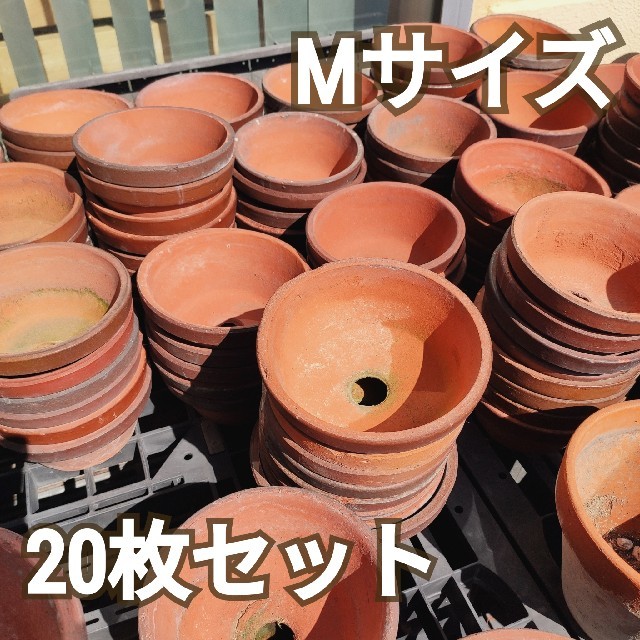 送料無料 素焼き鉢大量セット Mサイズ枚 春のガーデニングデビューに の通販 By Shimazon ラクマ 送料無料 素焼き鉢大量セット Mサイズ枚 春のガーデニングデビューに の通販 By Shimazon ラクマ