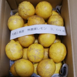 広島県大崎上島産無農薬レモン3.0kg(フルーツ)