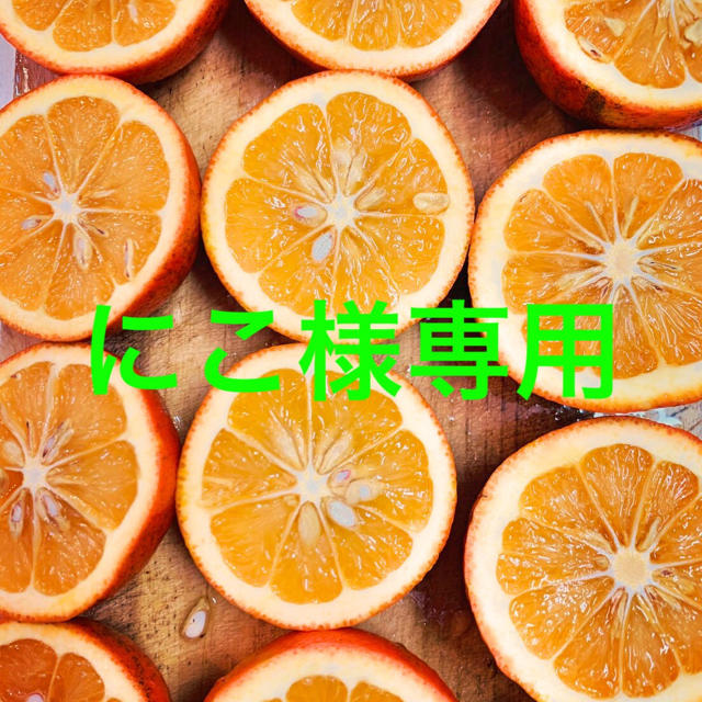 専用出品です | www.ecotours-of-oregon.com