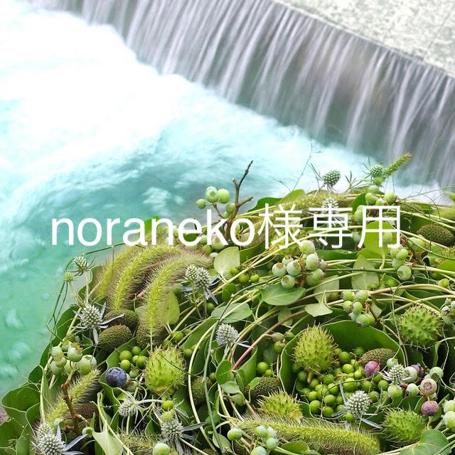 Teatreeパック,noraneko様専用の通販