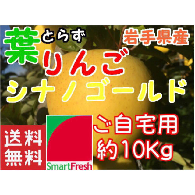 【送料込】スマートフレッシュ 葉取らずりんごシナノゴールド約10Kg【農家直送】 食品/飲料/酒の食品(フルーツ)の商品写真