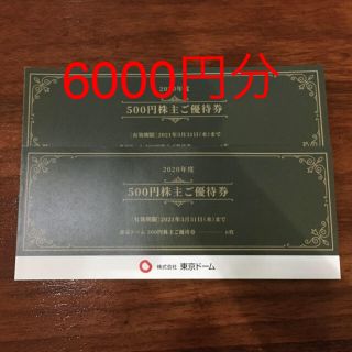 ヨミウリジャイアンツ(読売ジャイアンツ)の東京ドームシティ株主優待券6000円分(遊園地/テーマパーク)