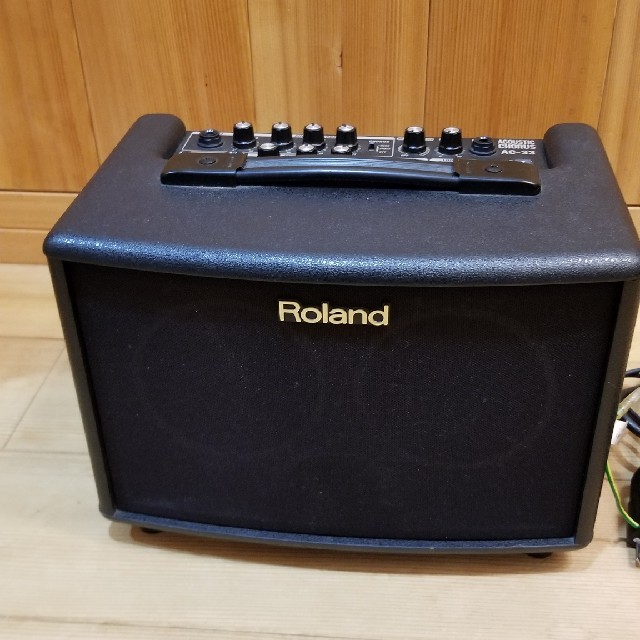 Roland(ローランド)のstar Trade様　専用 楽器のギター(ギターアンプ)の商品写真