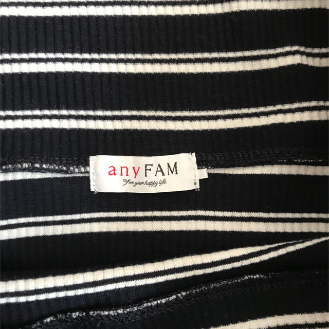 anyFAM(エニィファム)のボーダー トップス レディースのトップス(カットソー(半袖/袖なし))の商品写真