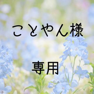 ことやん様専用  お米　令和元年　愛媛県産キヌヒカリ　玄米　20㎏(米/穀物)