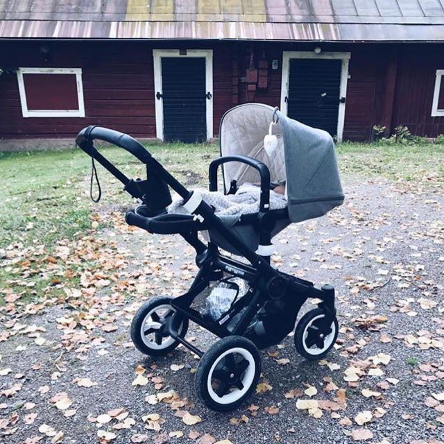 bugaboo 2017年　バッファロー