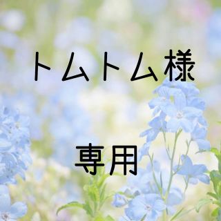 トムトム様専用  お米　令和元年　愛媛県産キヌヒカリ　玄米　30㎏(米/穀物)
