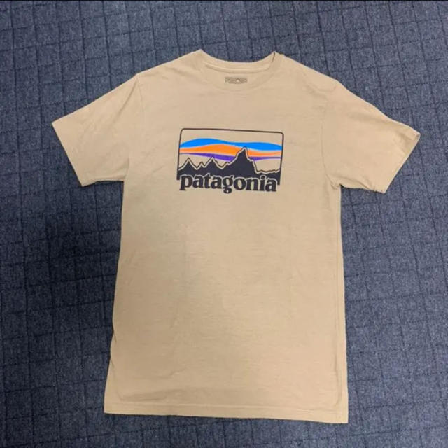 patagonia(パタゴニア)の2017春夏モデル パタゴニア　スリムフィットTシャツ レディースのトップス(Tシャツ(半袖/袖なし))の商品写真